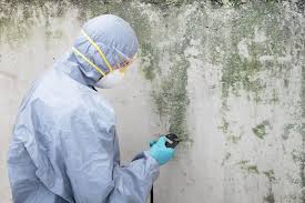 Best Mold Removal for HVAC Installations in Springville, NY